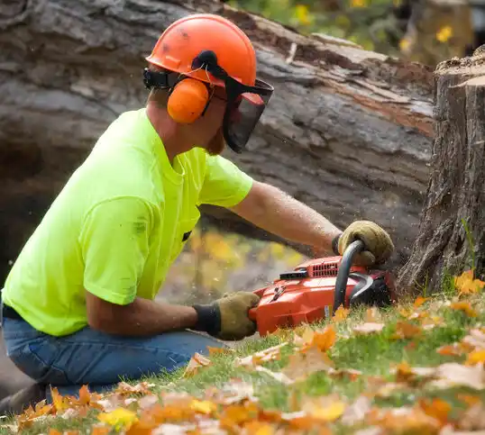 tree services Yadkinville